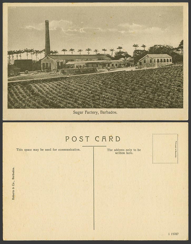 Barbados Old Postcard Sugar Factory Chimney Palm Trees Panorama General View BWI