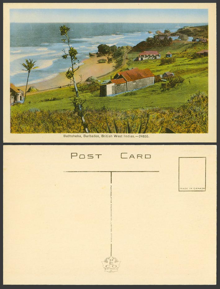 Barbados Old Colour Postcard Bathsheba Beach Houses Panorama British West Indies
