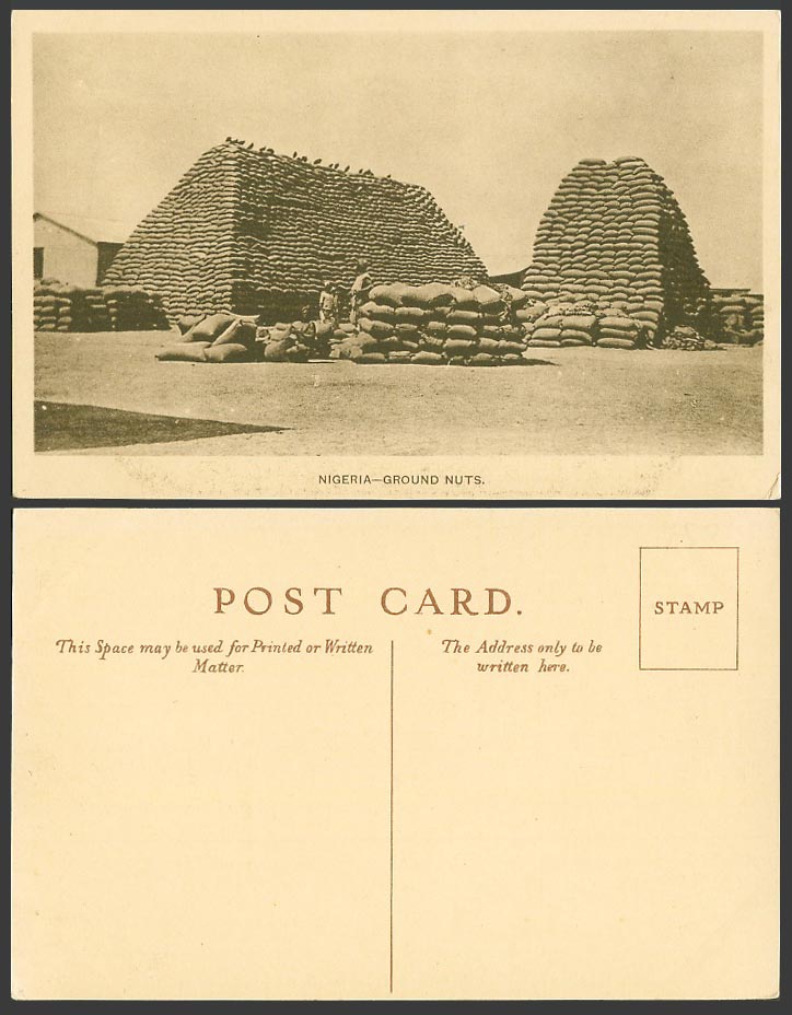 Nigeria Old Postcard Groundnuts Ground Nuts Piles, Native Workers, Ethnic Life