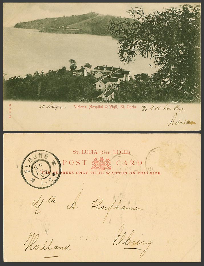 Saint St. Lucia 1902 Old UB Postcard Victoria Hospital and Vigil Panorama M. & C