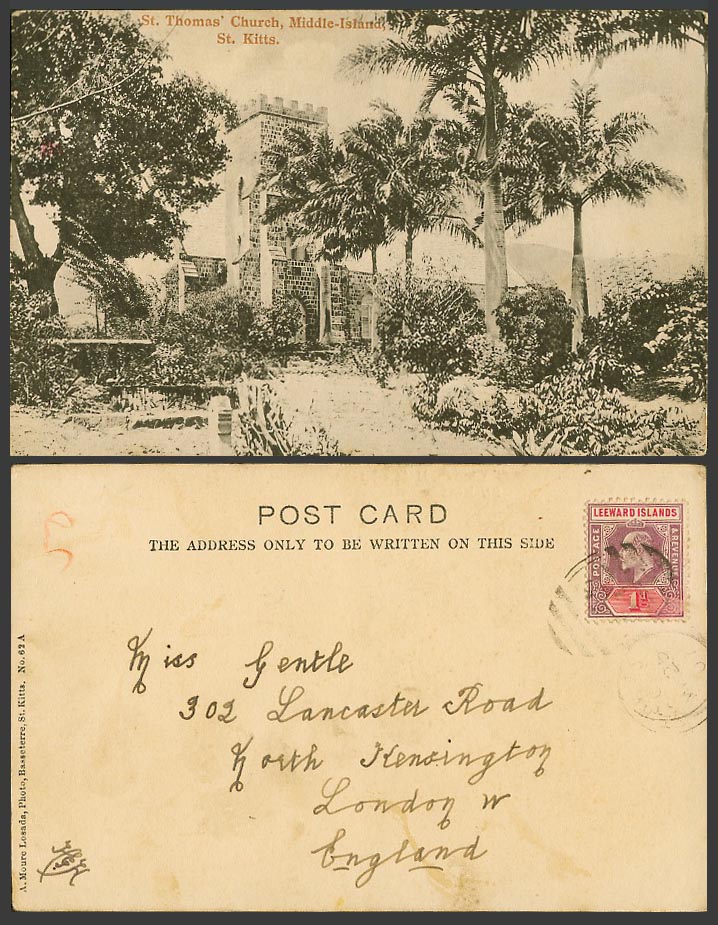 Saint St. Kitts 1907 Old UB Postcard St. Thomas' Church Middle Island Palm Trees