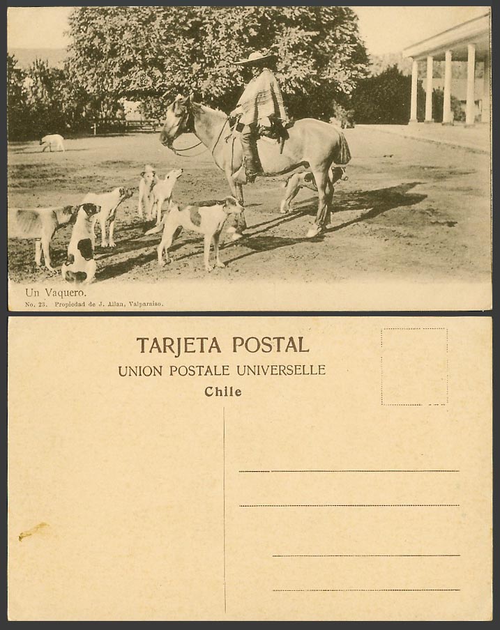 Chile Old Postcard Un Vaquero Horse Rider Cowboy Costumes Dogs Valparaiso
