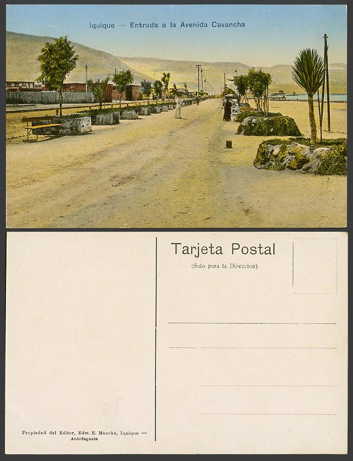 Chile Old Colour Postcard Iquique Entrada a la Avenida Cavancha, Street Entrance