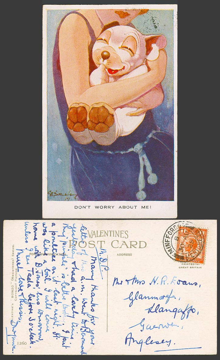 BONZO DOG GE Studdy 1929 Old Postcard Don't Worry About Me Lady Holds Puppy 1260