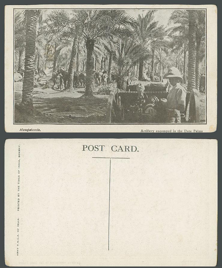 IRAQ Old Postcard Mesopotamia Artillery encamped in Date Palms Soldiers & Horses