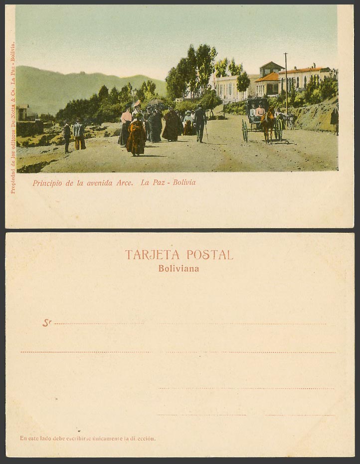 Bolivia Old UB Postcard La Paz, Principio de la avenida Arce Street Scene, Horse