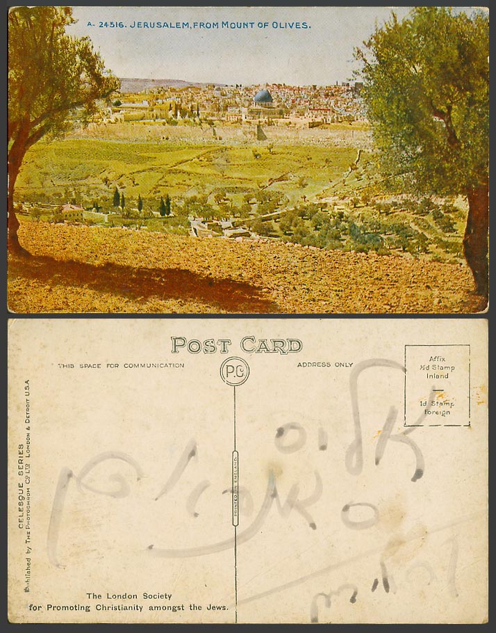 Palestine Old Colour Postcard Jerusalem From Mount of Olives Olive Trees, Israel