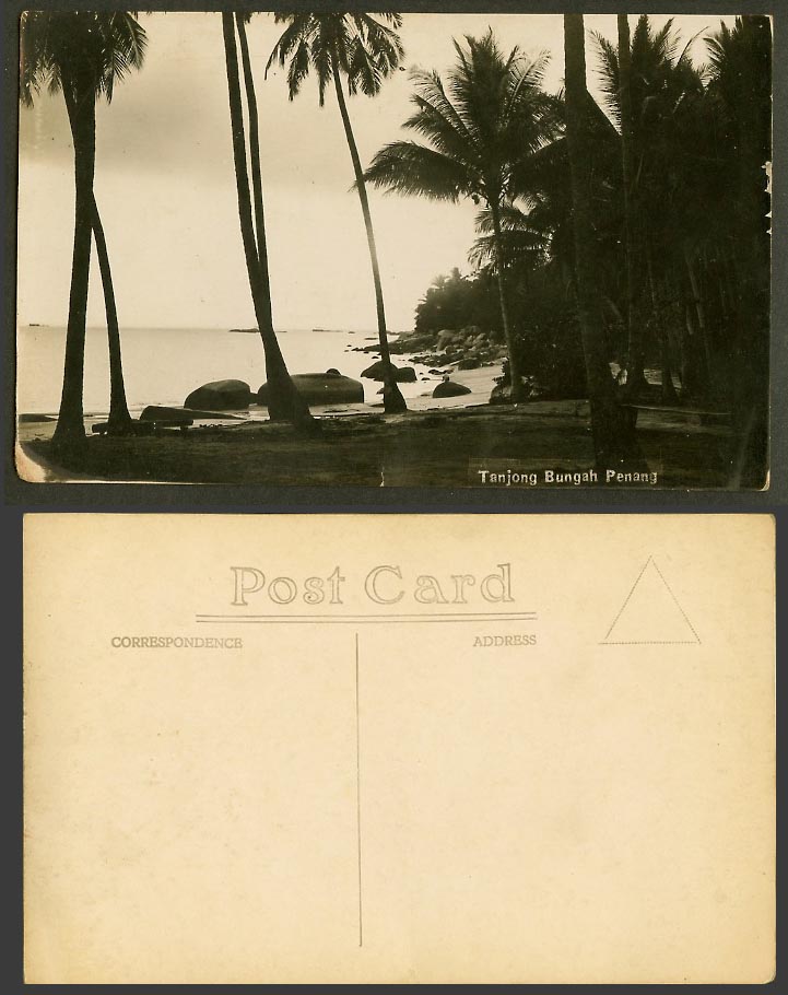 Penang TANJONG BUNGAH, Beach Palm Trees Rocks Seaside Old Real Photo Postcard RP