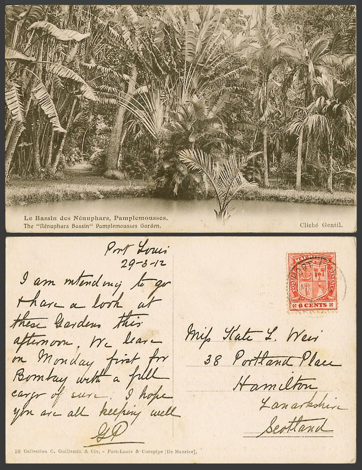 Mauritius 6c 1912 Old Postcard Bassin des Nenuphars Pamplemousses Botanic Garden
