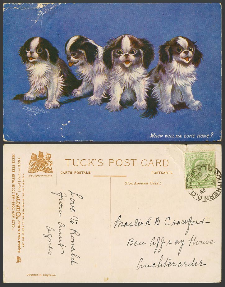LOUIS WAIN Artist Signed, Dogs, When Will Ma Come Home? 1908 Old Tuck's Postcard