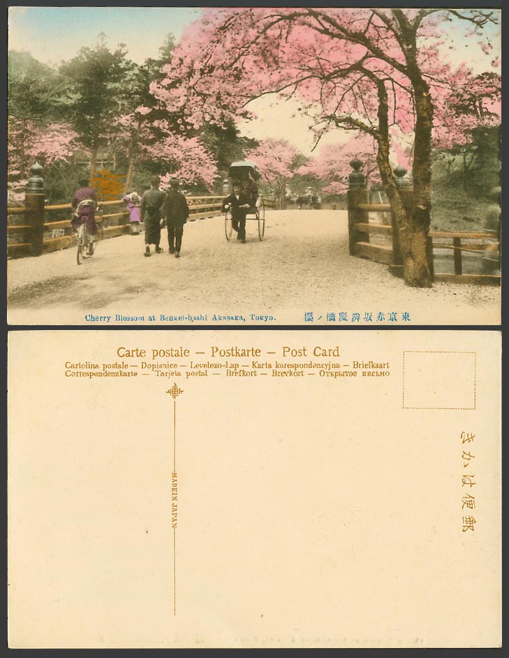 Japan Old Tinted Postcard Cherry Blossoms Benkei-bashi Bridge Akasaka, Tokyo 辨慶橋