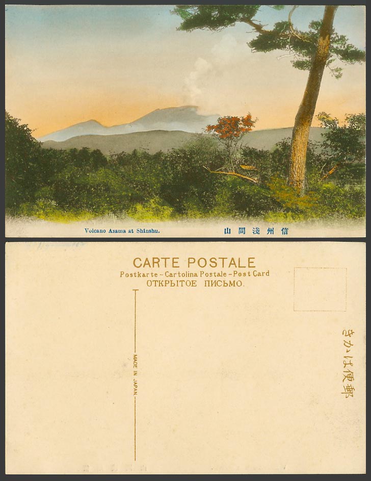 Japan Old Hand Tinted Postcard Volcano Asama at Shinshu Mountain Pine Tree 信州淺間山