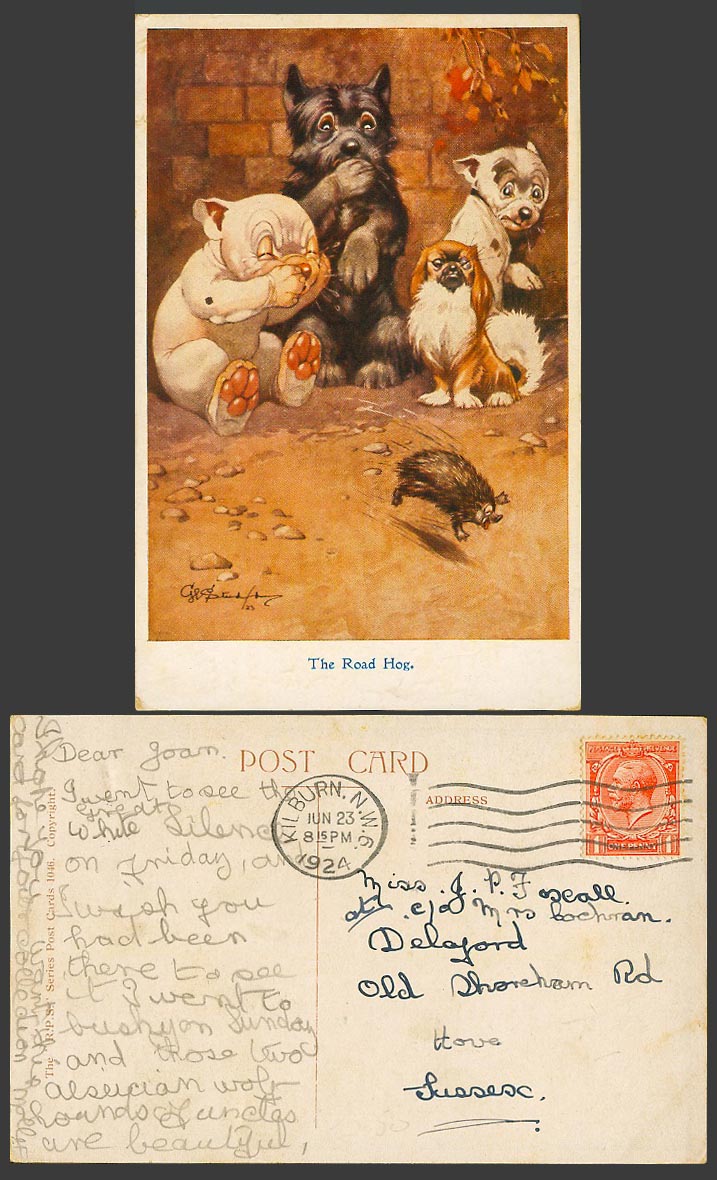 BONZO DOG G.E. Studdy 1924 Old Postcard The Road Hog. Hedgehog Dogs Puppies 1046