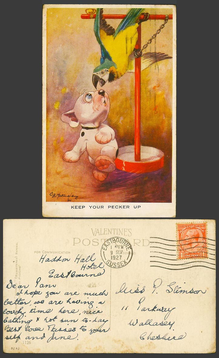 BONZO DOG GE Studdy 1927 Old Postcard Keep Your Pecker Up - Parrot Parakeet 1126