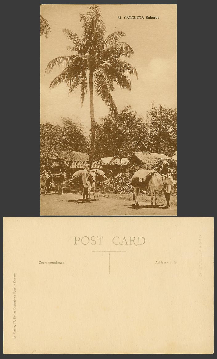 India Old Postcard Calcutta Suberbs Suburbs Street Scene Cattle Bullock Cart 34.