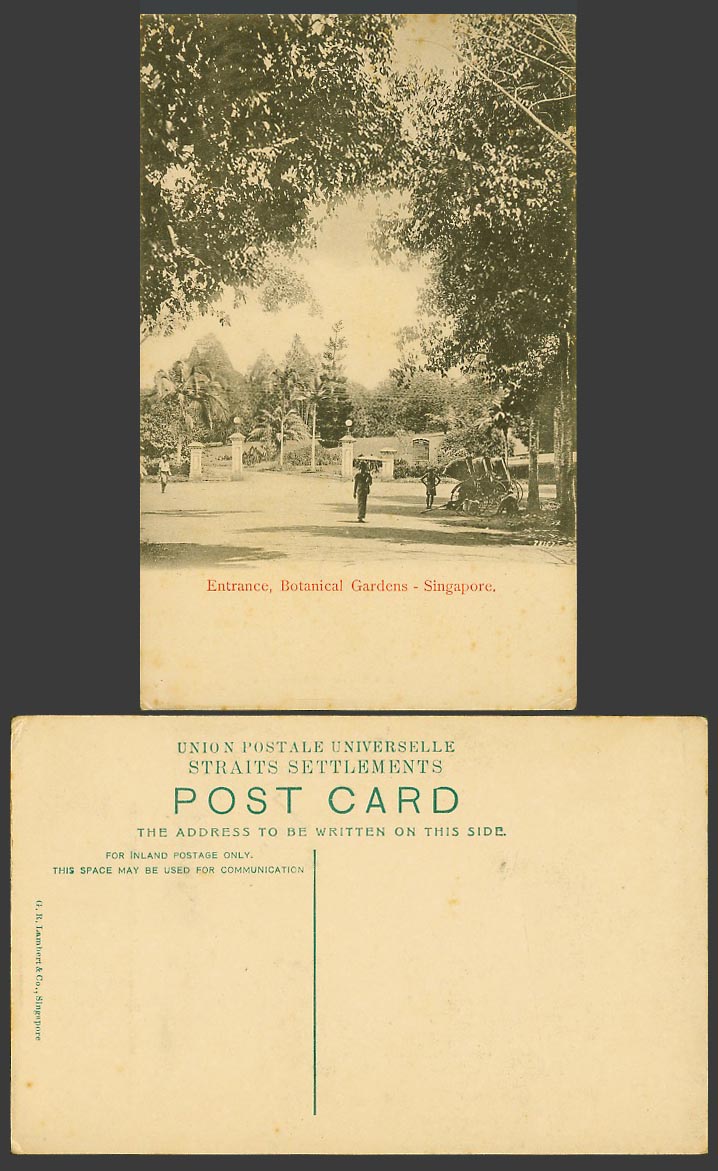 Singapore Old Postcard Entrance of Botanical, Gardens Botanic Garden, Rickshaws