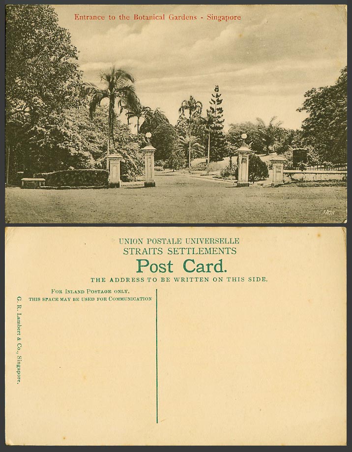 Singapore Old Postcard Entrance to Botanical Gardens Botanic Garden & Palm Trees