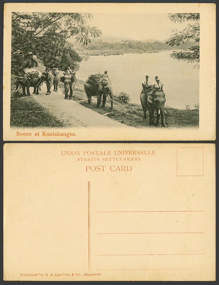 Perak Old Postcard Scene at KUALAKANGSA Elephant Riders Kuala Kangsar GR Lambert