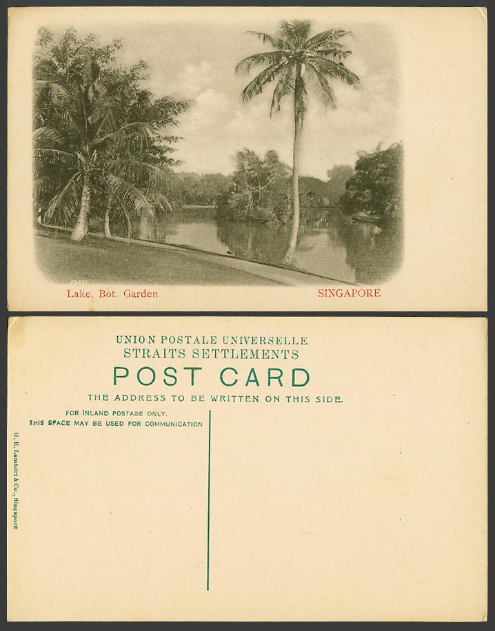 Singapore Old Postcard Lake Bot. Garden Palm Trees Botanic Botanical Gardens GRL