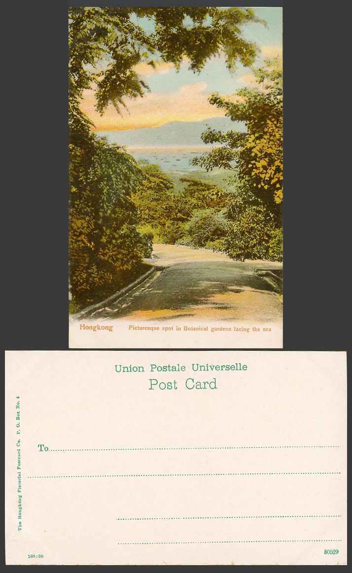 Hong Kong Old Postcard Picturesque Spot in Botanical Gardens Facing The Sea Road