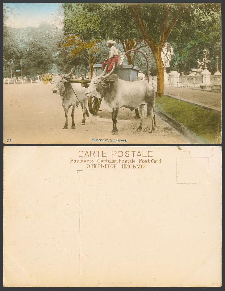 Singapore Old Hand Tinted Postcard Water Car Street Scene Double Bullock Cart 11