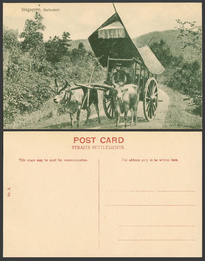 Singapore Old Postcard Bullockart Native Malay Bullock Cart Cattle Animals Nr. 3