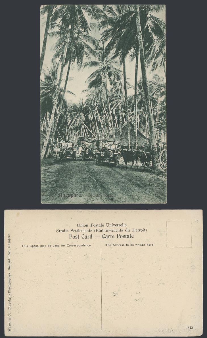 Singapore Old Postcard Country Road, Vintage Motor Cars, Cattle Cart, Palm Trees