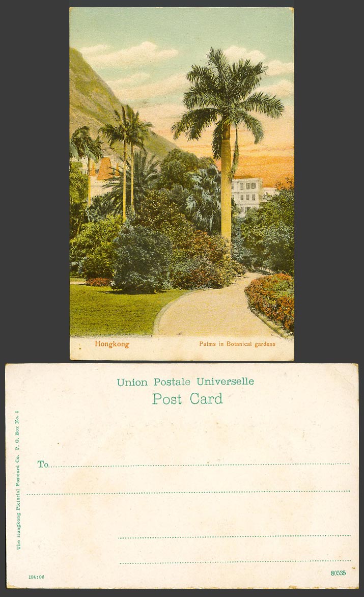 Hong Kong Old Colour Postcard Palms in Botanical Gardens, Palm Trees Botanic Gdn