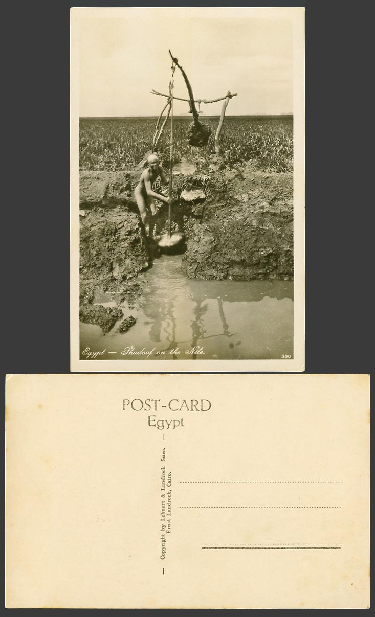 Egypt Old Real Photo Postcard Shadouf Chadouf on The Nile River, Irrigation Tool