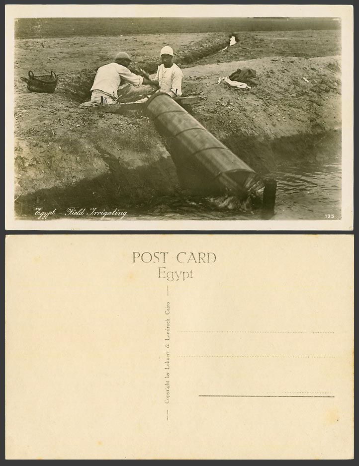 Egypt Old Real Photo Postcard Field Irrigating, Irrigation Tools Men Ethnic Life