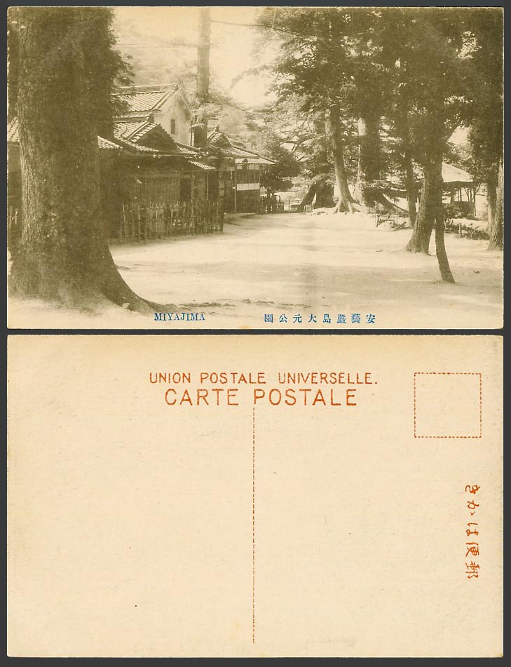 Japan Old Postcard Miyajima, Omoto Park, Pine Trees 安藝嚴島 大元公園