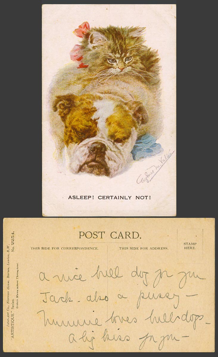 Eugenie M. Valter Old Postcard Bulldog Dog Puppy Cat Kitten Asleep Certainly Not