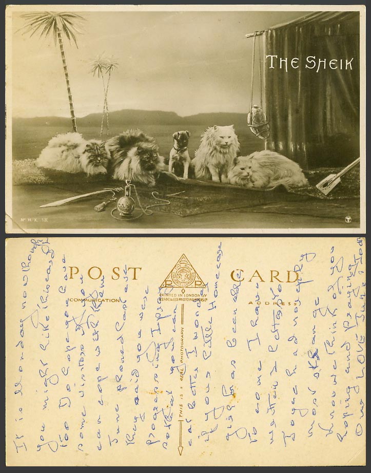 THE SHEIK, Persian Cats Dog Shisha Hookah Palm Trees Tent Rug Old Photo Postcard