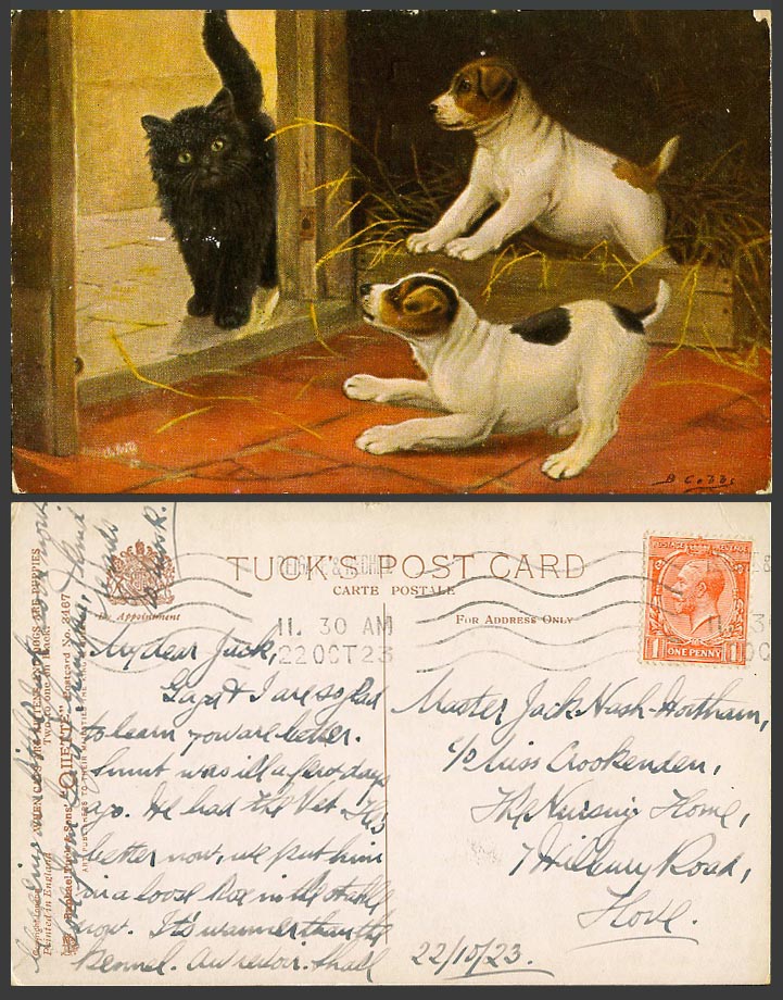 Dogs Puppies Black Cat Kitten by B Cobbs Artist 1923 Old Tuck's Oilette Postcard