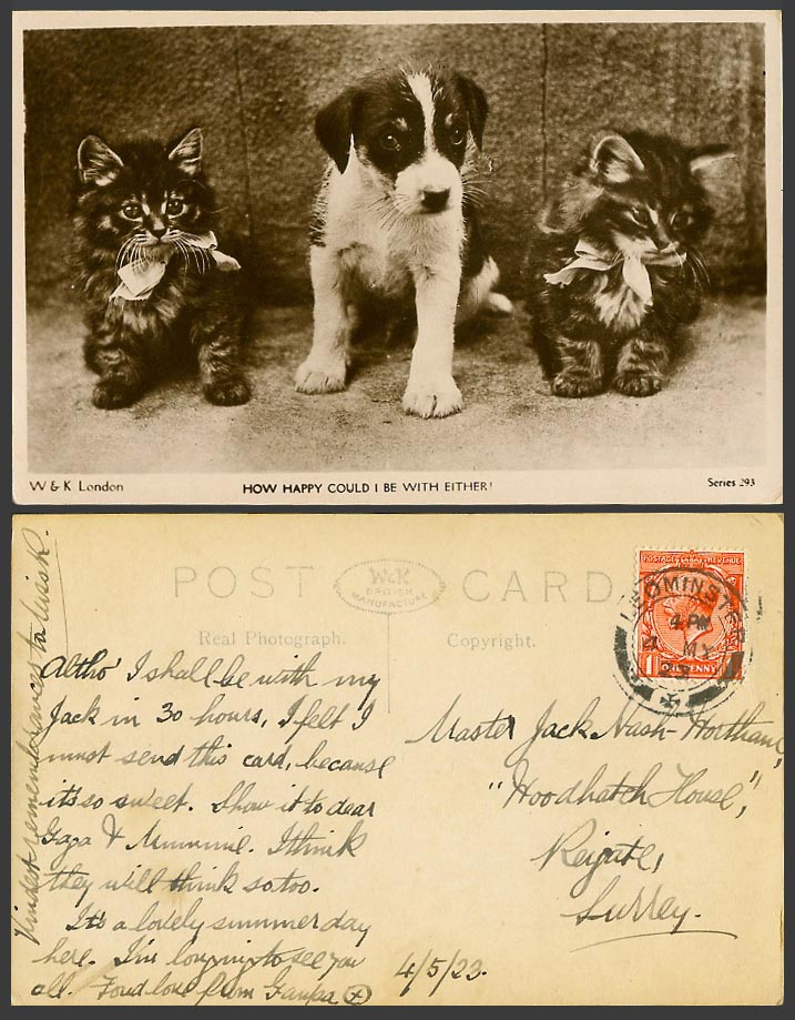 Dog Puppy Cats Kitten Kittens How Happy Could I be with Either 1923 Old Postcard