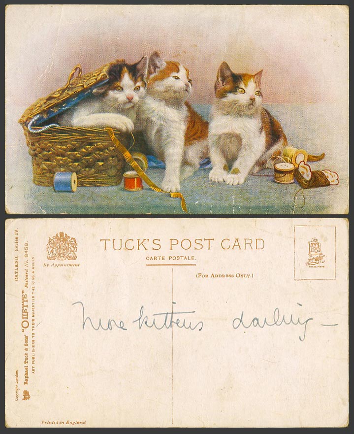 Cat Kitten Cats Kittens Tuck's Oilette CATLAND Old Postcard Basket Ruler Threads