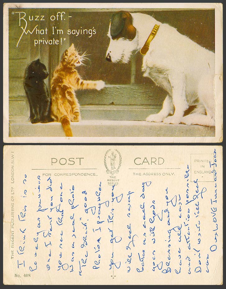 Cat Kitten Cats Kittens Dog Puppy Buzz off What Im Saying's Private Old Postcard