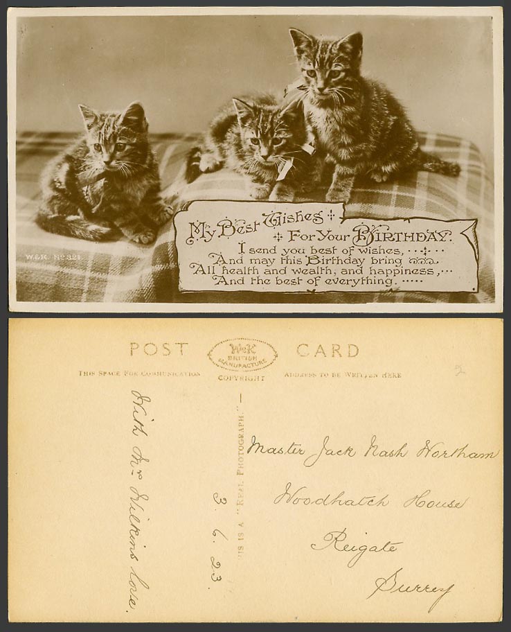3 Cats Kittens Cat My Best Wishes for Your Birthday 1923 Old Real Photo Postcard