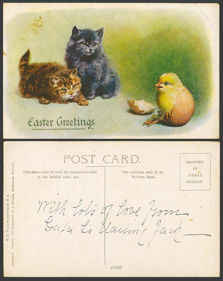 Cat Kitten Cats Kittens, Just Hatched Chick Bird, Easter Greetings Old Postcard