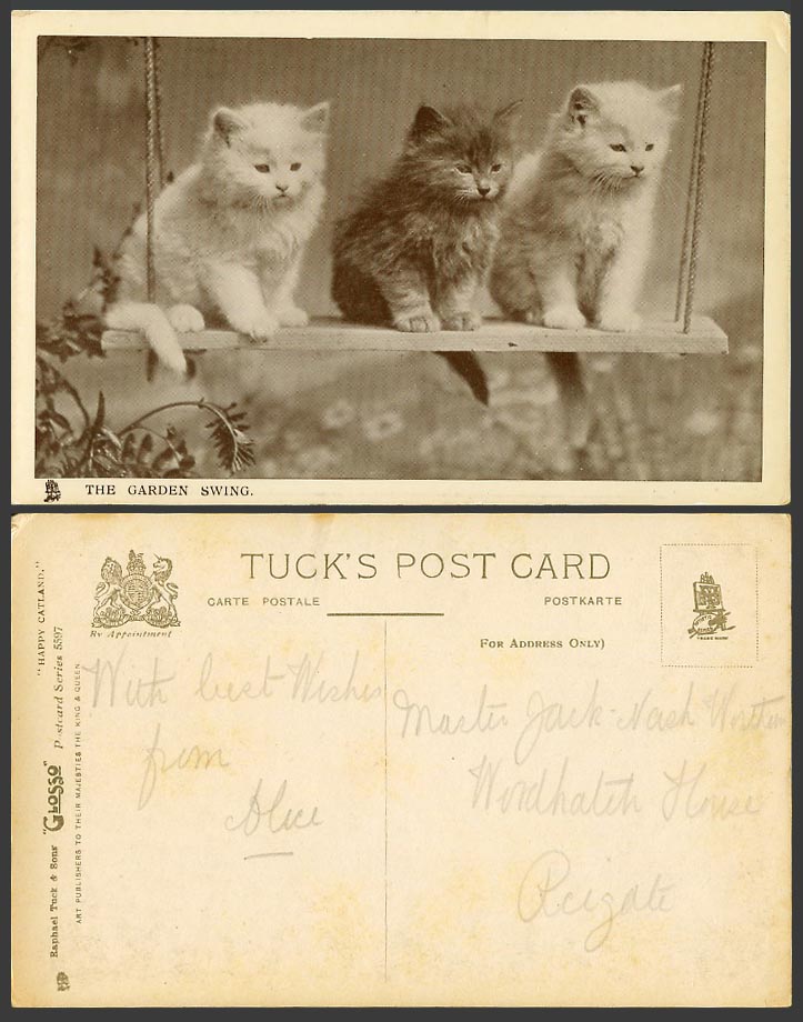 3 Cats Kittens on The Garden Swing Old Postcard Tuck's Glosso Happy Catland 5597