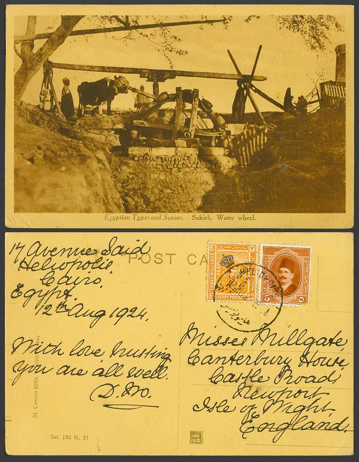 Egypt 1924 Old Postcard Ethnic - SAKIEH Water Wheel & Cattle