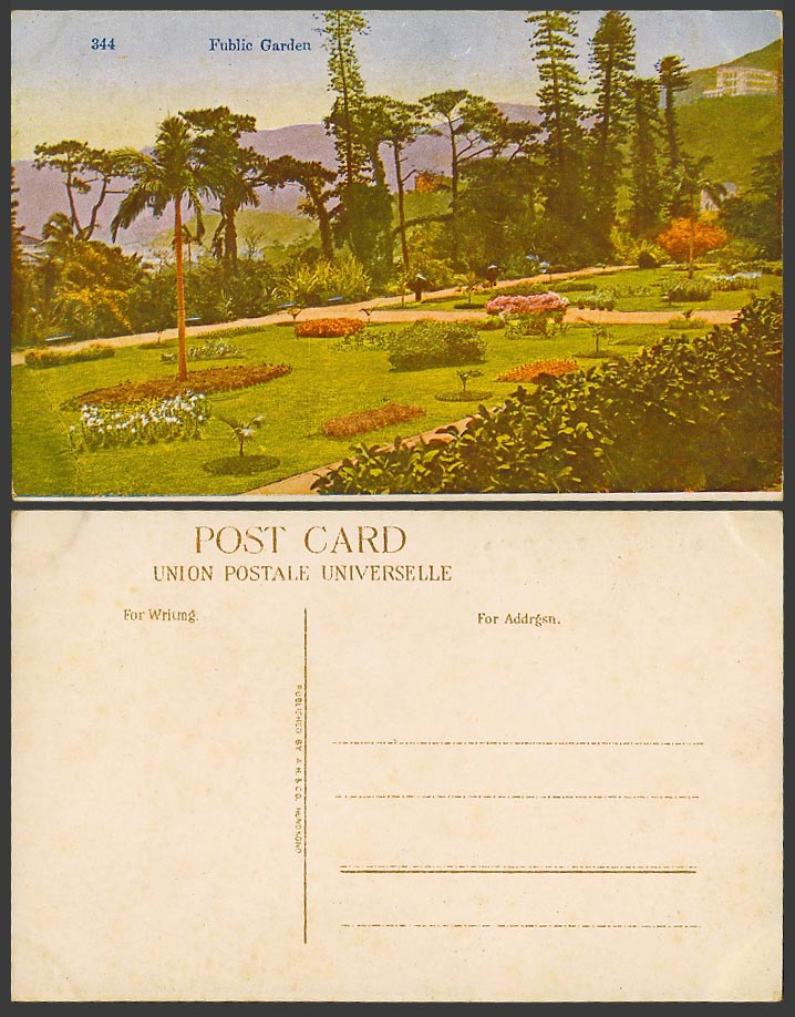 Hong Kong Old Colour Postcard Public Garden Gardens Flowers & Palm Tree No. 344