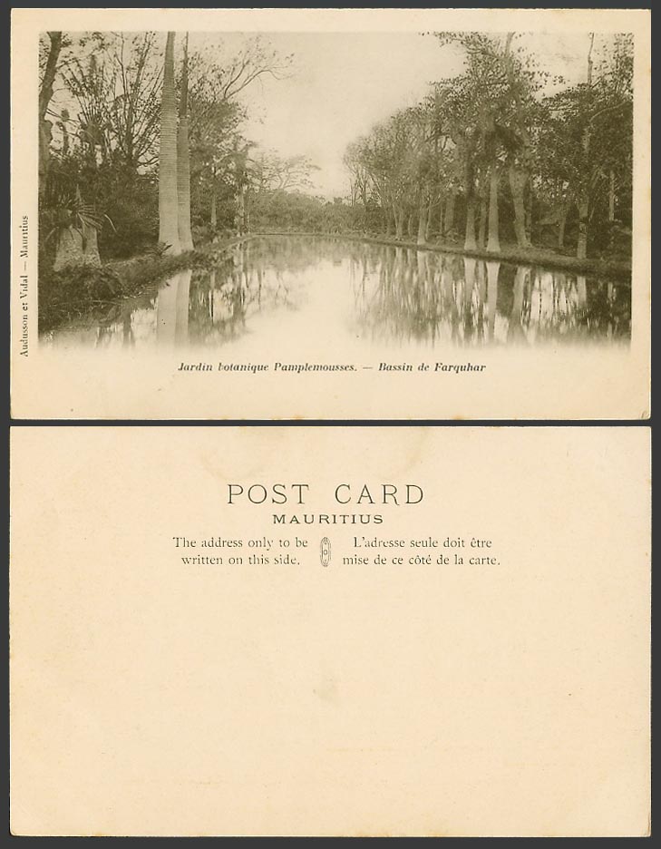 Mauritius Old Postcard Pamplemousses Botanical Garden, Bassin de Farquhar, Lake