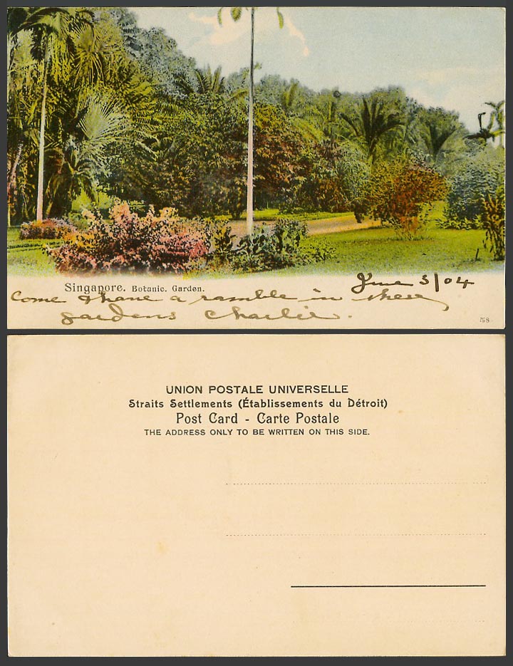 Singapore 1904 Old Colour Postcard Botanic Garden Botanical Gardens, Palm Trees