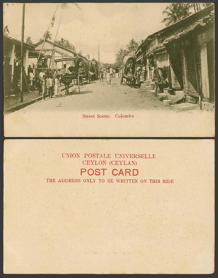 Ceylon Old UB Postcard Street Scene Colombo, Bullock Carts Native Houses & Palms