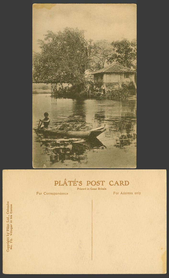 Ceylon Old Postcard Villager in His Canoe, Native Boat Bridge House Plate No. 75