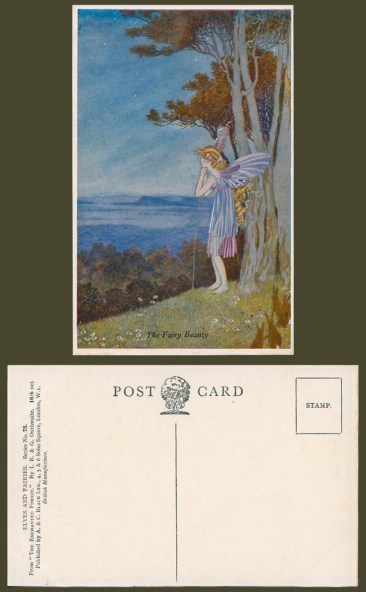 Ida Rentoul Outhwaite Old Postcard FAIRY BEAUTY, Elves Fairies, Enchanted Forest