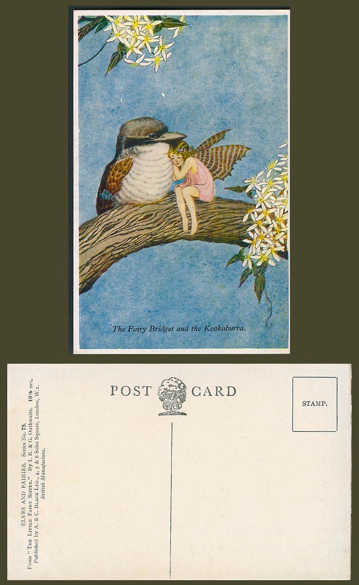 Ida Rentoul Outhwaite Old Postcard FAIRY BRIDGET and KOOKABURRA Australian Bird