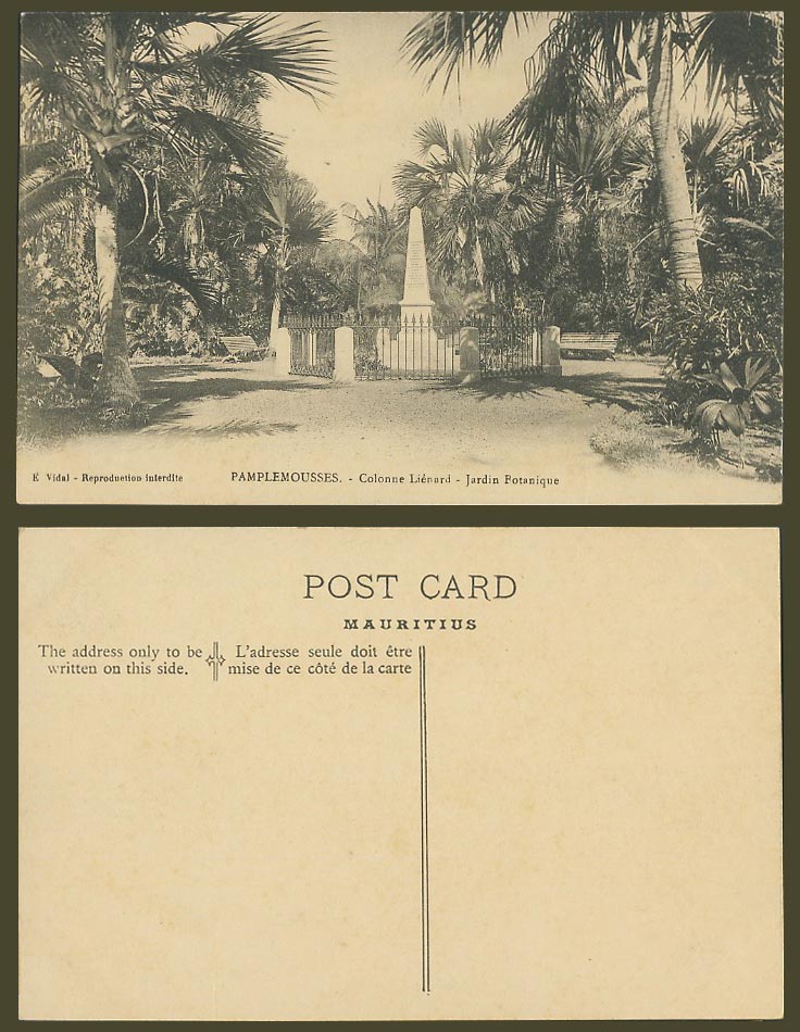 Mauritius Old Postcard Pamplemousses Colonne Lienard Column Botanica Garden Palm