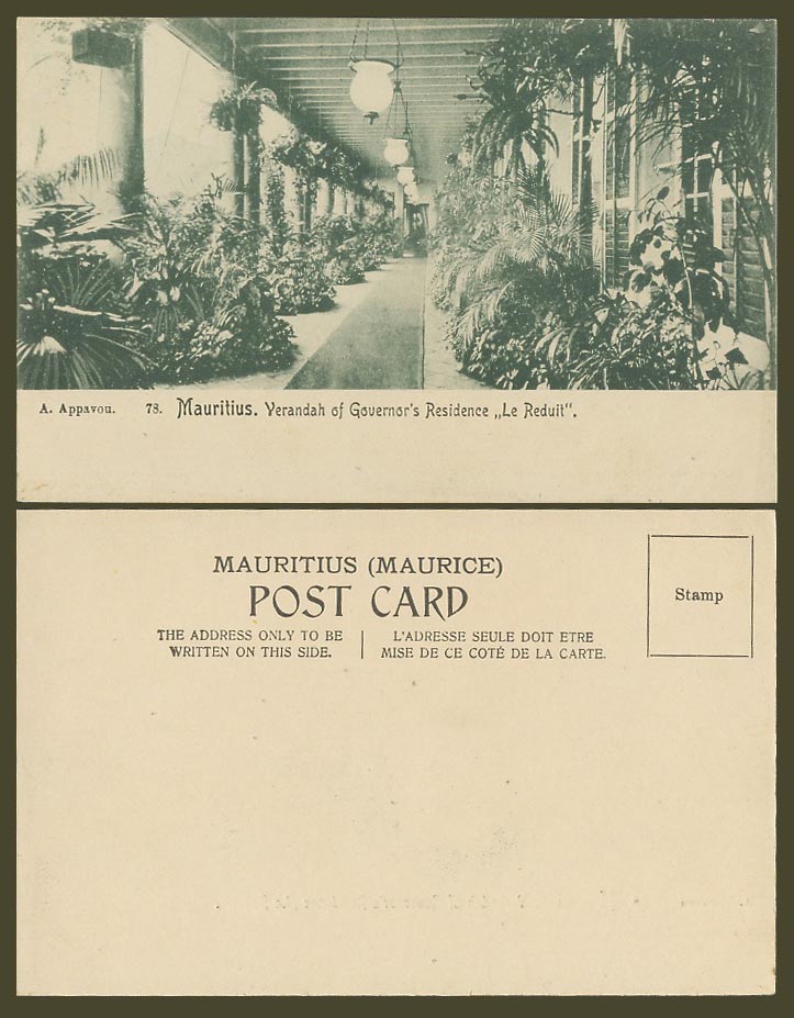 Mauritius Old Postcard Verandah of Governor's Residence Le Reduit Plants A.A. 78